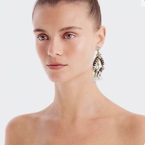 3/$30 J. Crew Deep Redwood Crystal and Tortoise Statement Earrings